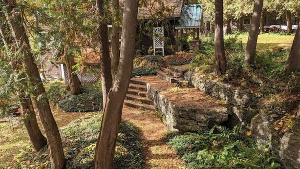 Un escalier en pierre mène à une terrasse en bois entourée d’arbres.