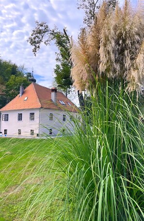 Terrain de l’hébergement 