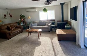 Smart TV, fireplace, books