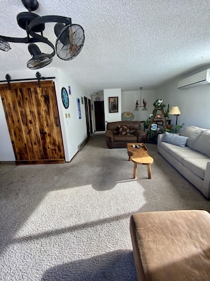 Smart TV, fireplace, books