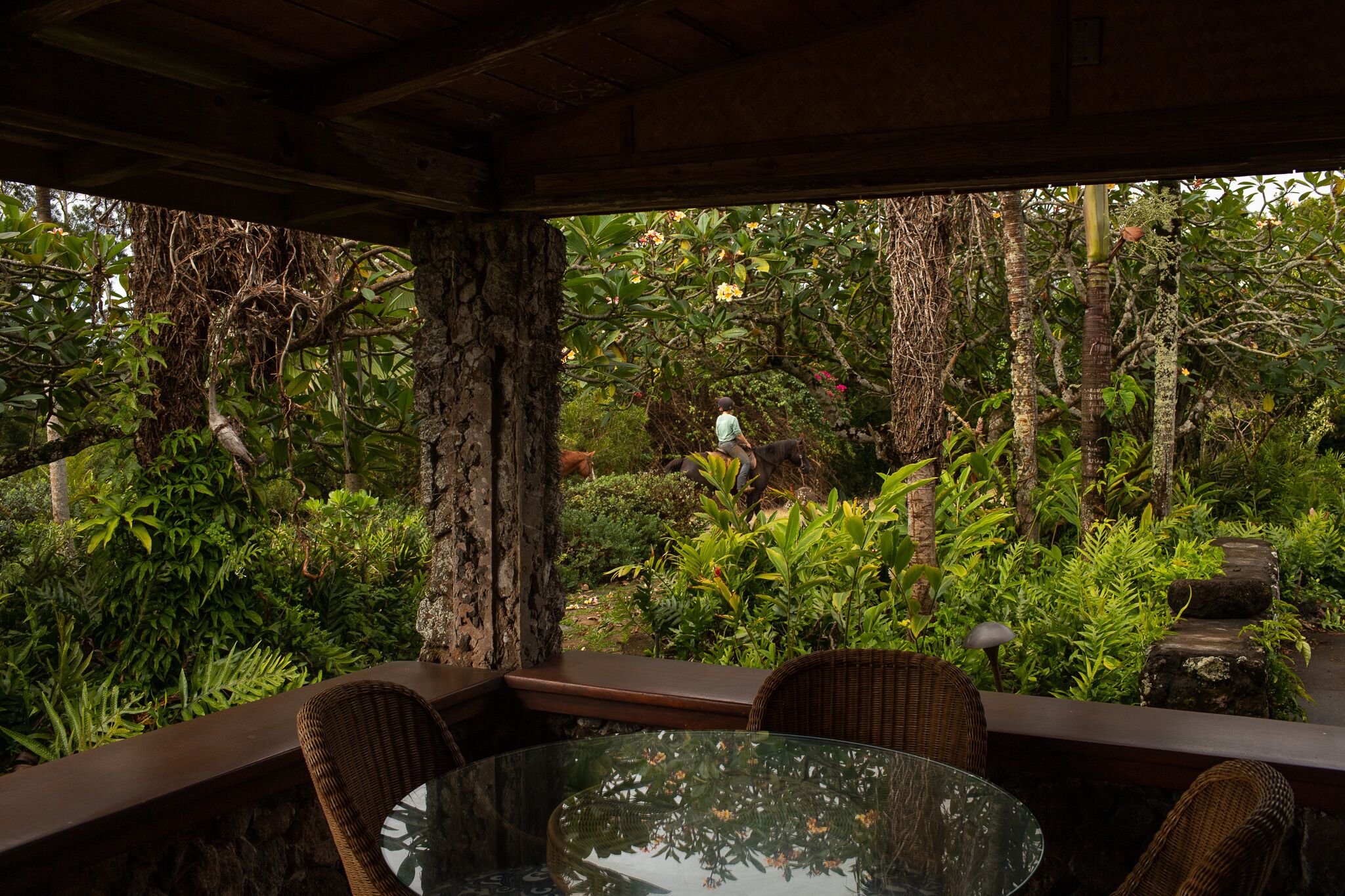 Molokai Vacation Rentals Affordable Condos, Oceanfront Homes, Beach Villas