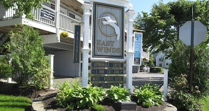 Renovated 1 bedroom condo ,steps to beach