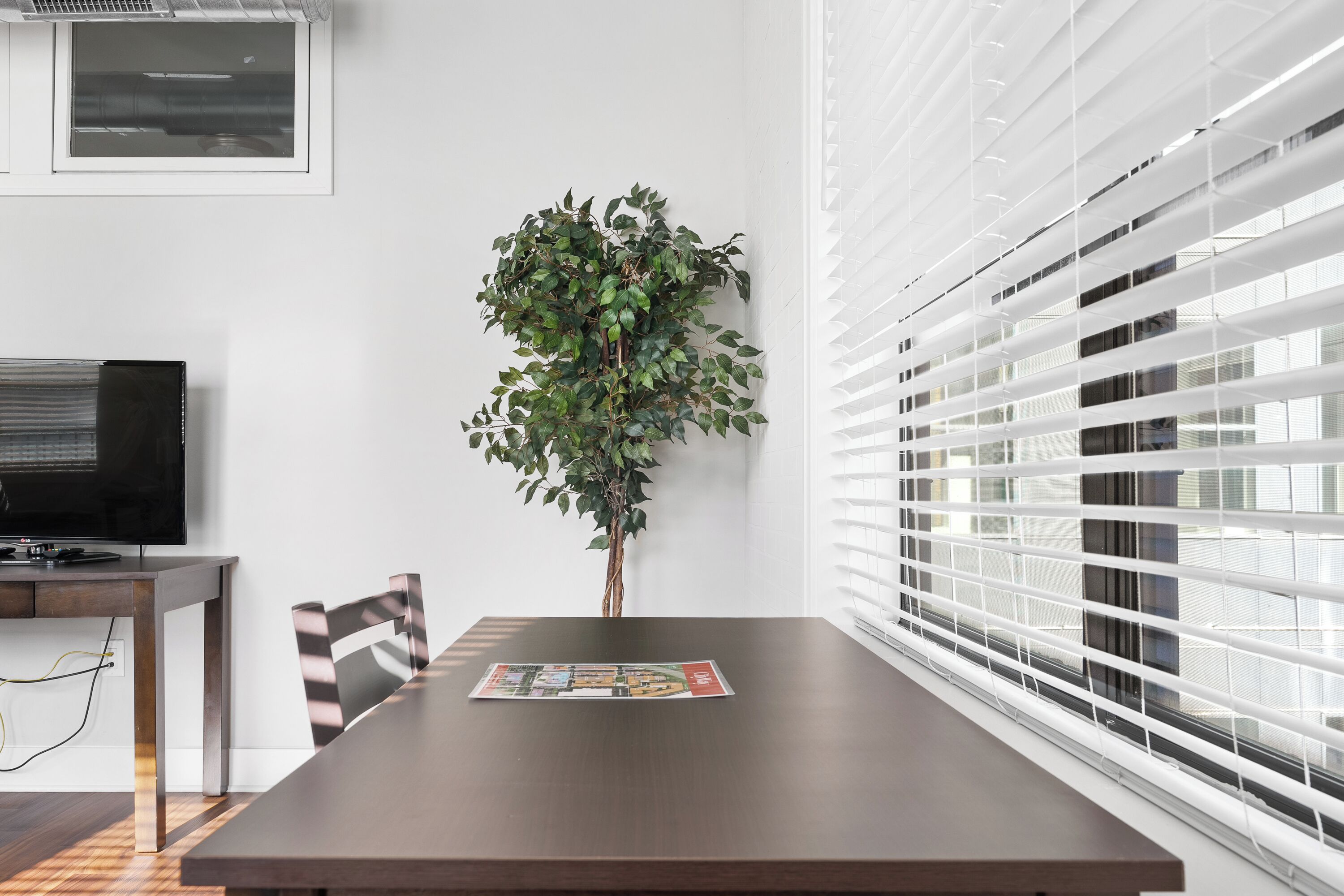 A modern dining area with a wooden table, a potted plant, and a television on a stand.