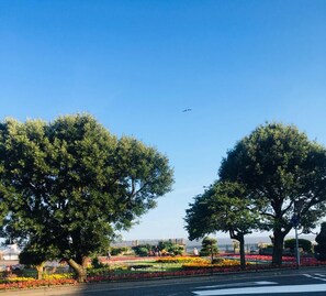 Exterior - Beautiful House 5 mins from the beach. (Clacton-on-Sea)