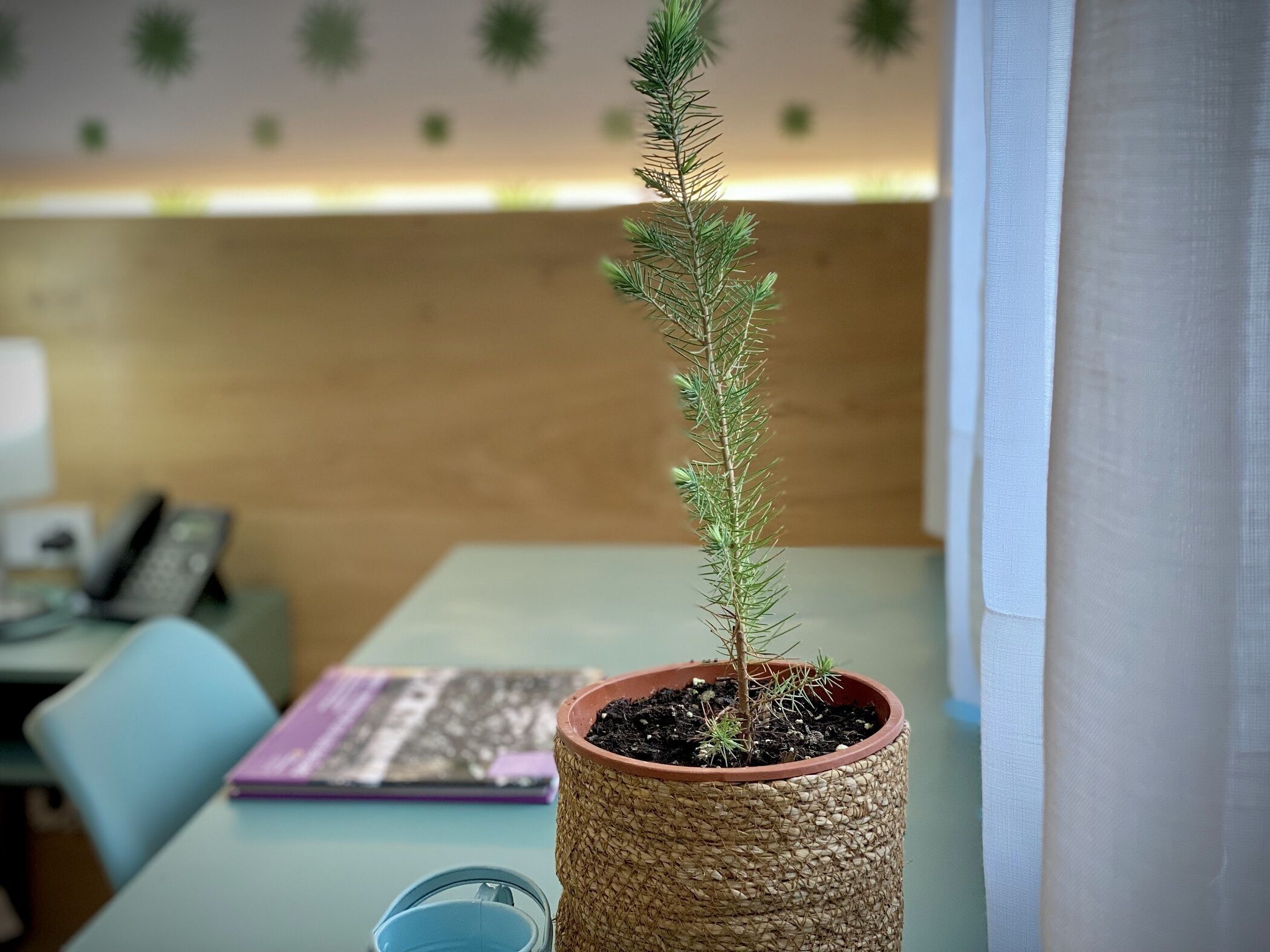 Photo - Alaró Natura Rural Suites