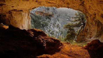 A cave entrance with a natural rock archway leading to a forested cliff.