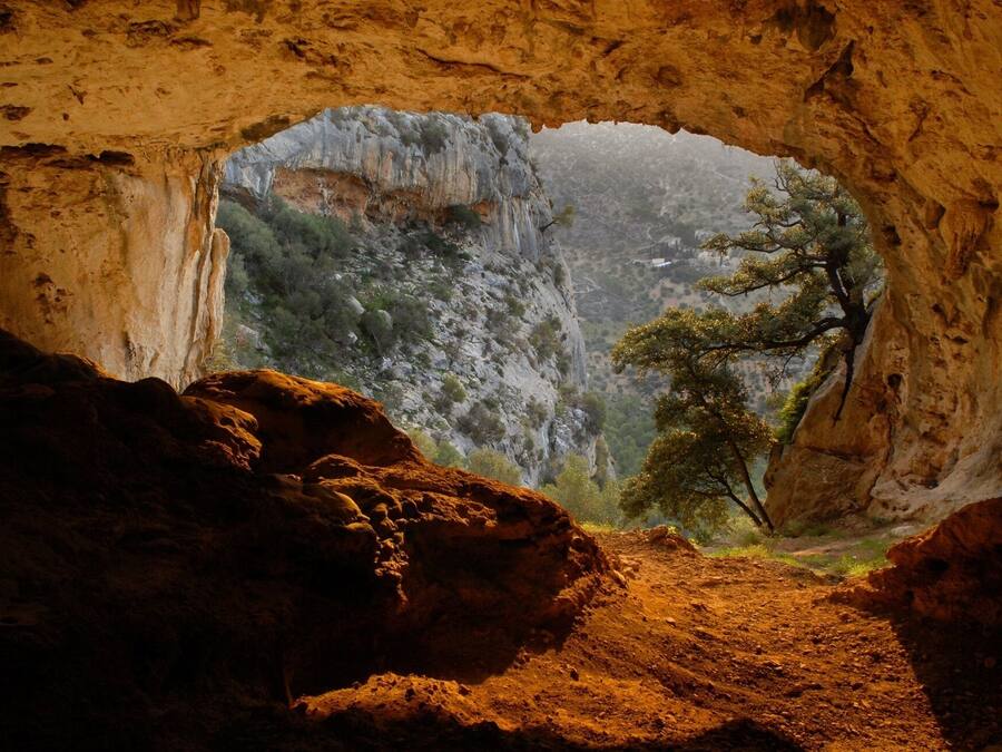 A cave entrance with a natural rock archway leading to a forested cliff.