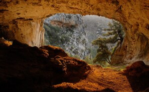 A cave entrance with a natural rock archway leading to a forested cliff.