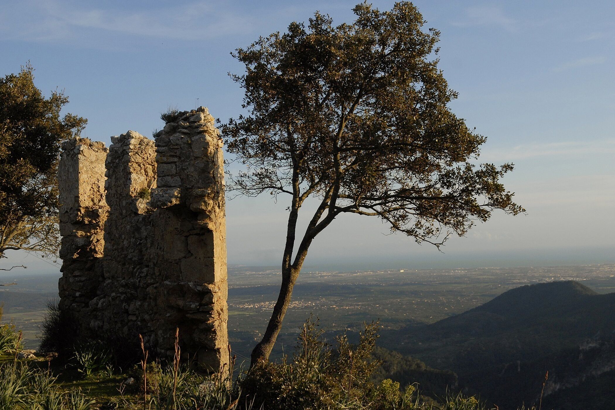 Ruinas de piedra con un árbol en primer plano y una vista distante de un valle.