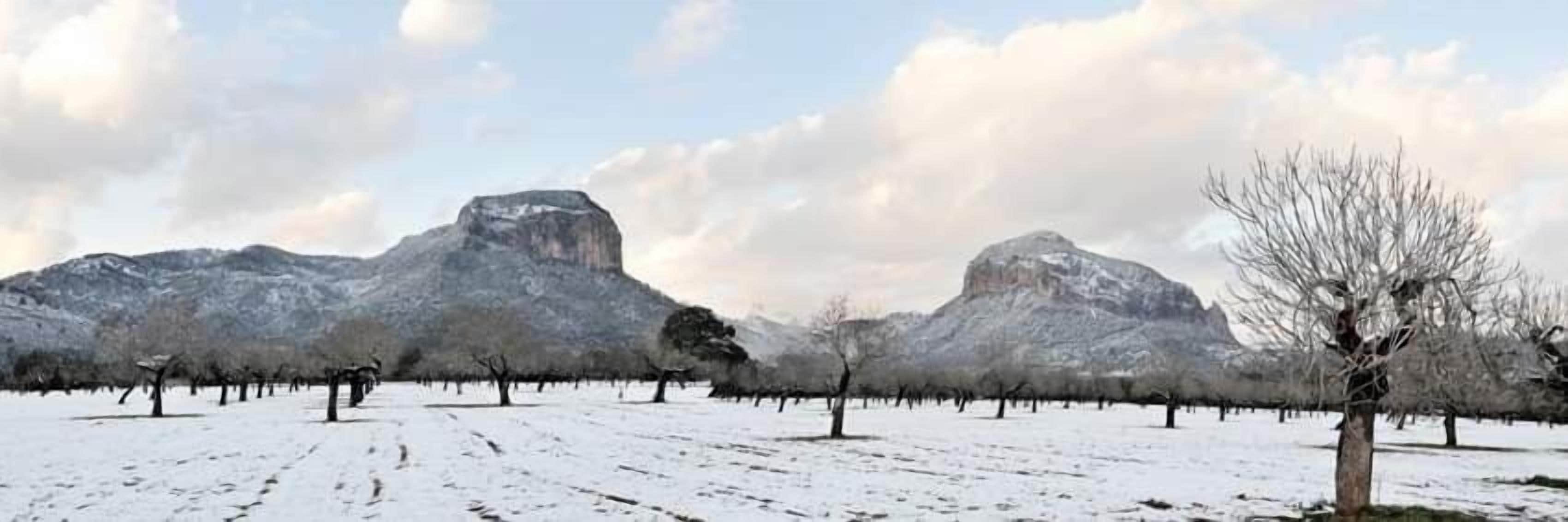 Photo - Alaró Natura Rural Suites