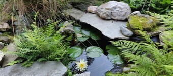 Famous Raleigh Mill House | Whimsical & Walkable