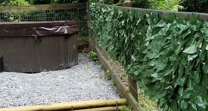 REMOTE, Cheerful Mountain Cabin with hot tub in Franklin, NC.