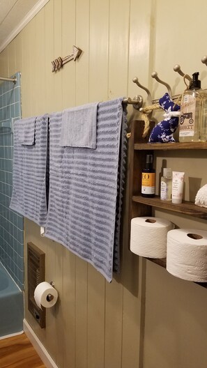 Combined shower/tub, hair dryer, towels, soap - REMOTE, Cheerful Mountain Cabin with hot tub in Franklin, NC. (Franklin)