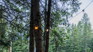 Un chalet rustique doté d’une grande fen être, entouré d’arbres et bordé d’un chemin de gravier.