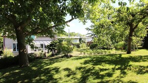 En beboelseshave med græsplæne, træer og et hus i baggrunden.