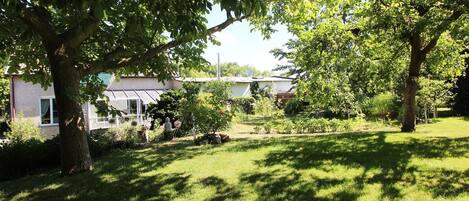 A residential garden with a lawn, trees, and a house in the background.