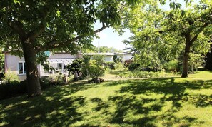 A residential garden with a lawn, trees, and a house in the background.