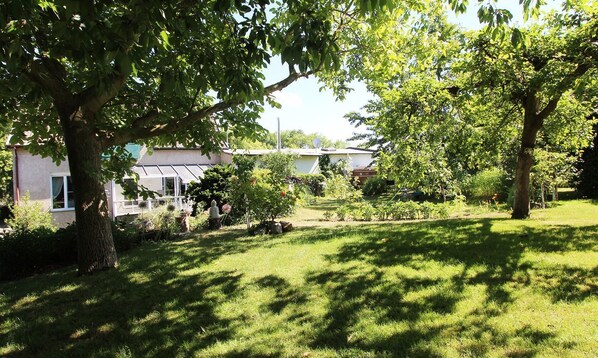 A residential garden with a lawn, trees, and a house in the background.