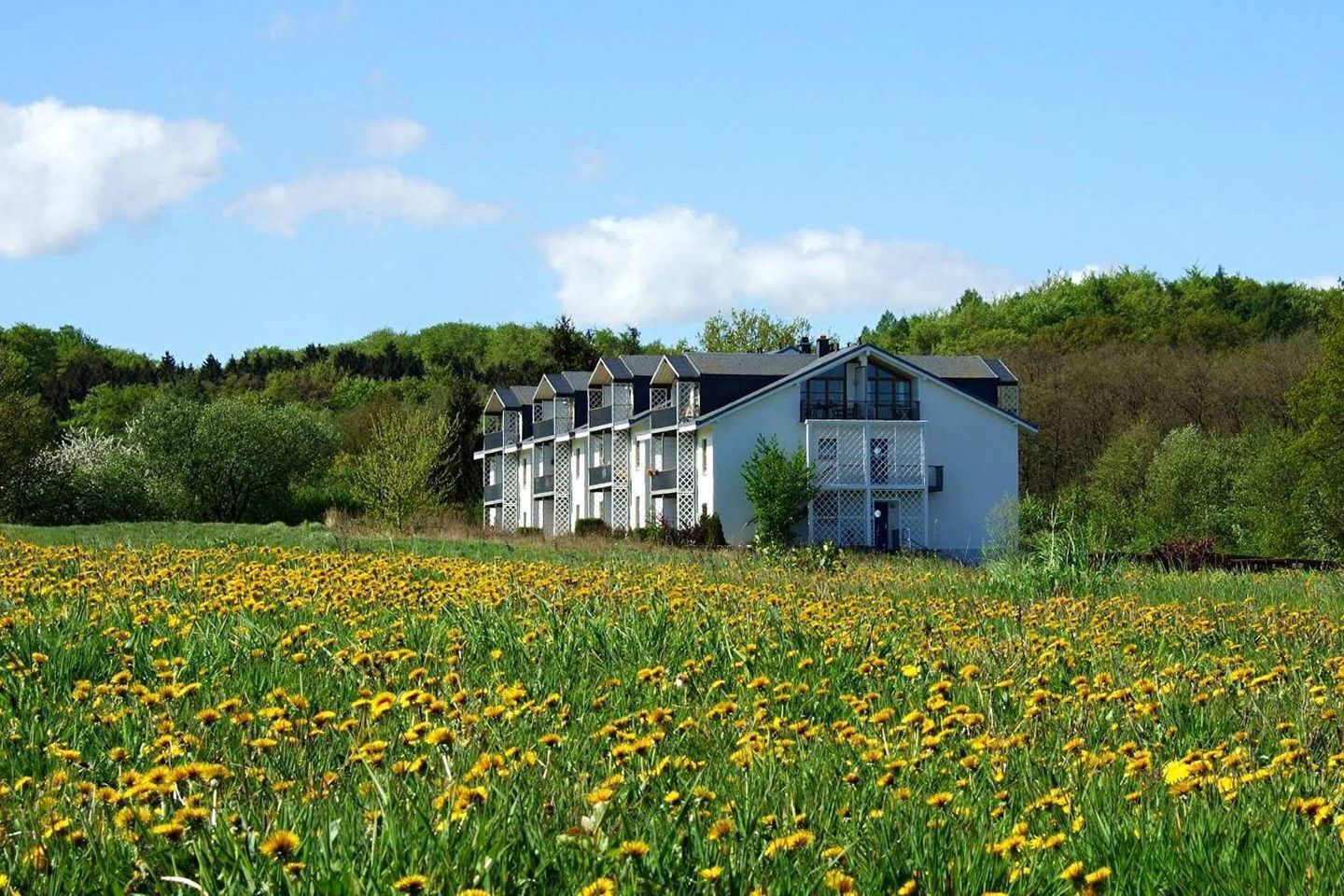Eine Reihe weißer Gebäude mit Balkonen, eingebettet in ein Feld aus gelben Blumen, mit Bäumen und blauem Himmel im Hintergrund.