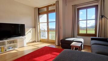 电视、立体声音响