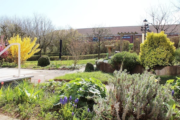 A garden with various plants, a pergola, and a building in the background.