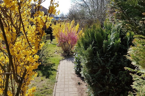 Garten