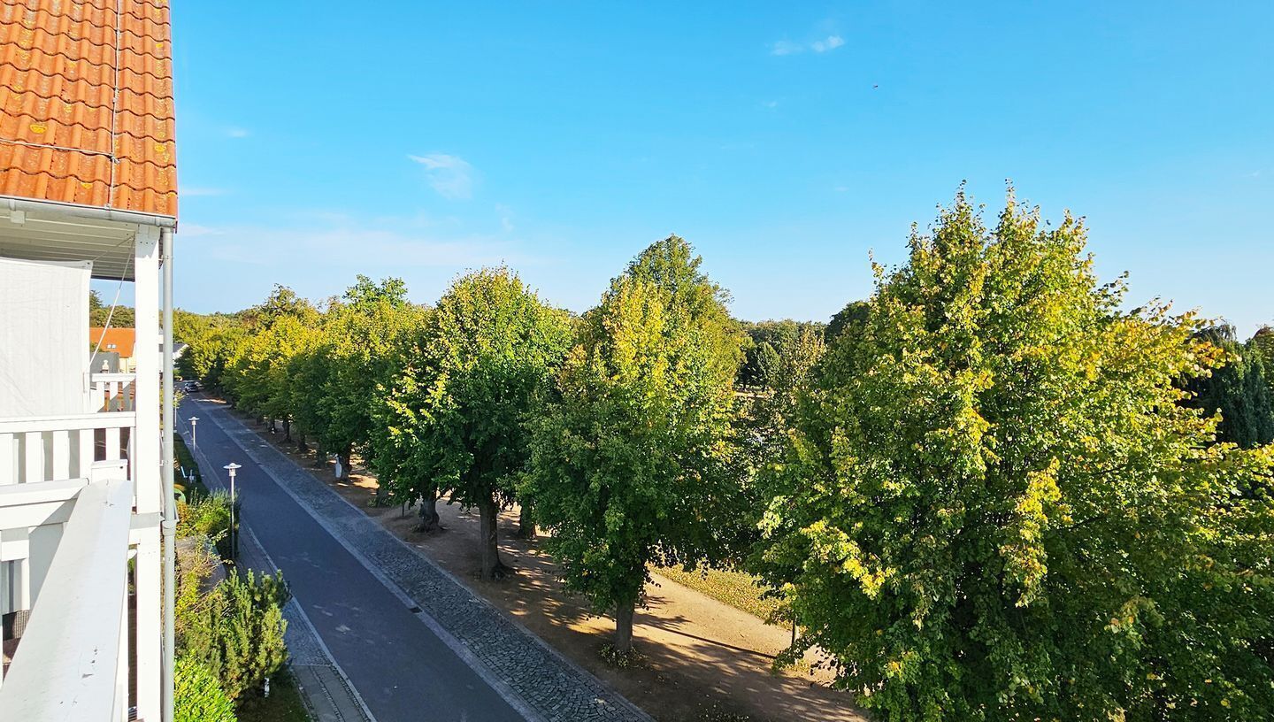 Vue depuis l’hébergement