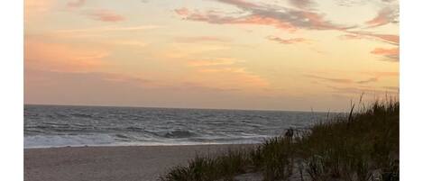 Nær stranden, solsenger og strandhåndklær