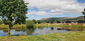 Property grounds - Beautiful 2-Bed Lodge Ribble Valley Clitheroe (Clitheroe)