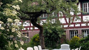 Une table ronde entourée de chaises blanches, installée à l’extérieur, au milieu de l’herbe et près d’un arbre aux fleurs blanches.