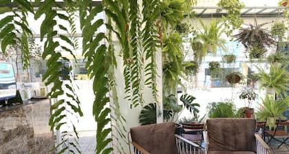apartment with game console + big screen, chill garden