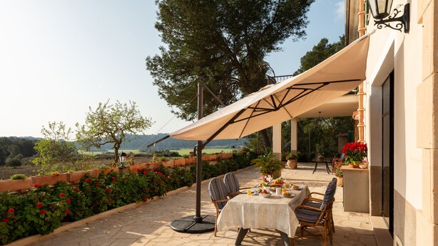 Un patio esterno con tavolo e sedie, circondato da pavimento in pietra e piante in vaso.