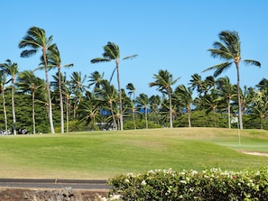 Ein Golfplatz bei blauem Himmel, mit Palmen und einem gepflegten Rasen.