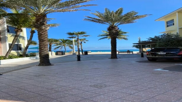 A paved walkway lined with palm trees, leading to a beach. - Beach Tide Motel - #6 Studio 1 King bed (Hollywood)