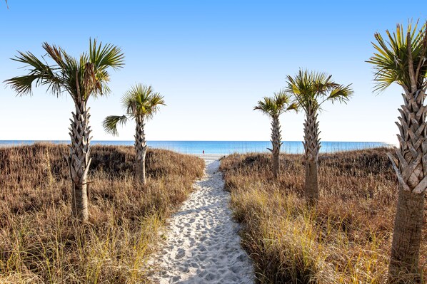 Playa en los alrededores 