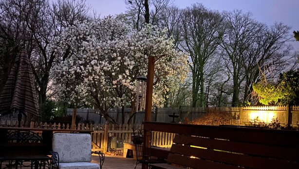 Une terrasse en bois avec un foyer, des bancs et une table.