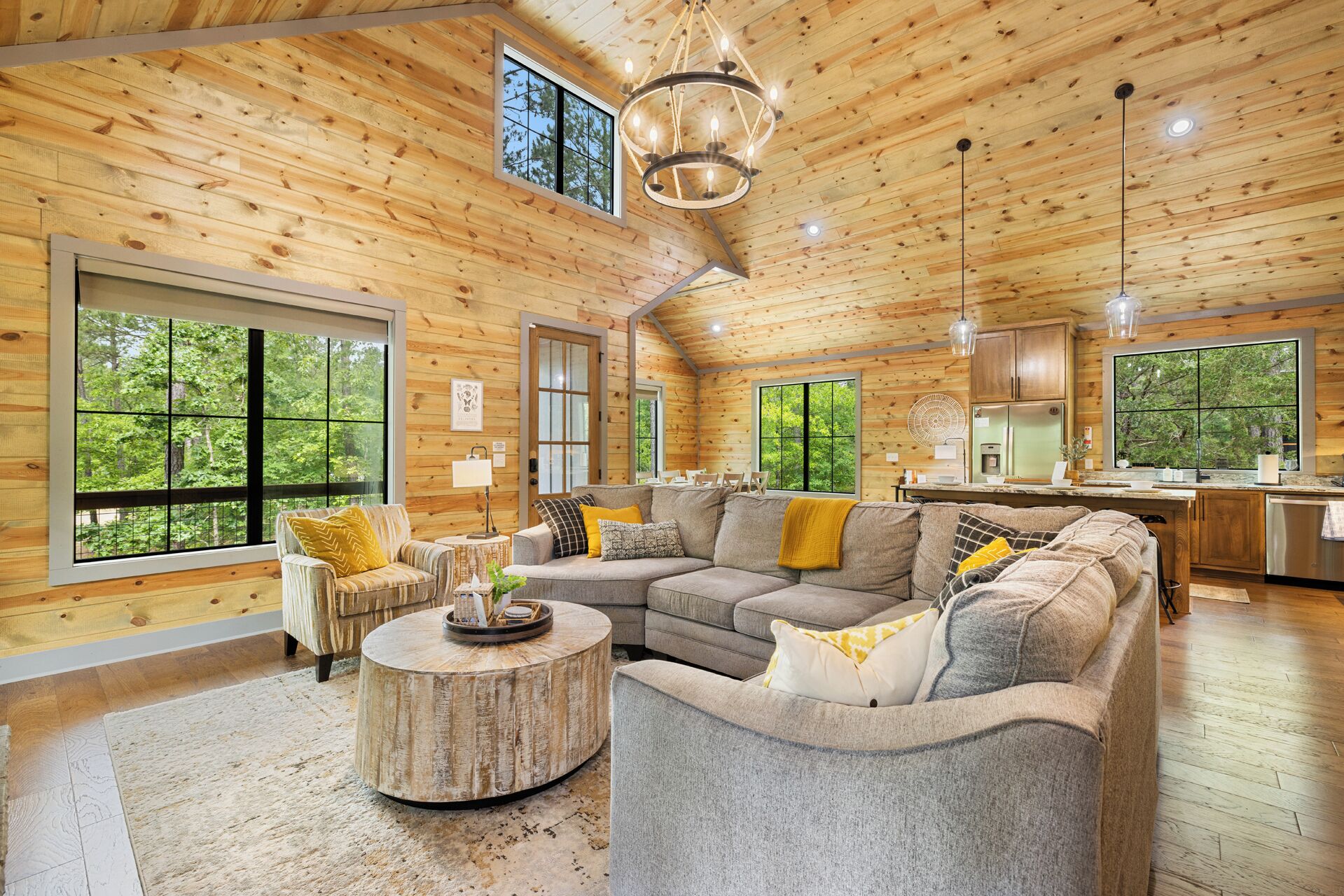 智能電視、壁爐、DVD 播放機、書籍