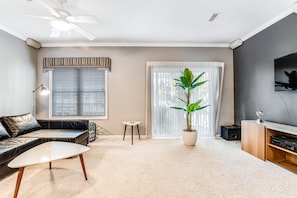 TV, video-game console, books