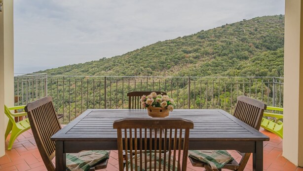 A balcony with a wooden table and chairs, a potted plant, and a view of a green hillside.