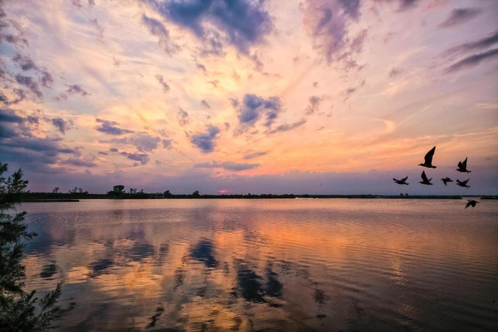A calm lake at sunset with birds flying over the water.