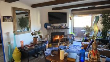 TV, fireplace, video games, Netflix