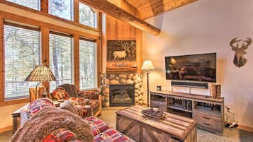 TV, fireplace, video-game console, DVD player