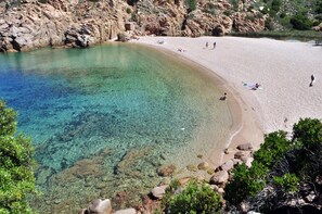 En strand med klart vatten, en stenig kustlinje och gles vegetation.