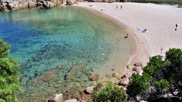 A beach with clear water, rocky shoreline, and sparse vegetation.