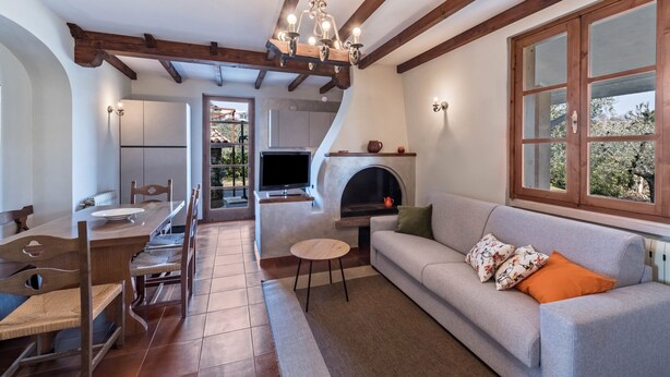 Un espace repas comprenant une table et des chaises en bois, un canapé, une cheminée et un téléviseur.
