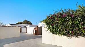 Een binnentuin met een witte muur, een betonnen vloer en een struik met paarse bloemen.