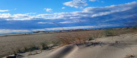 Playa en los alrededores