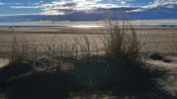 A beach with sand, sparse vegetation, and a clear sky with the sun shining. - Ground Floor Studio with Private Terrace and Parking in Port Camargue (Port Camargue)
