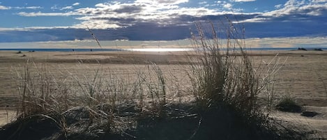 Playa en los alrededores