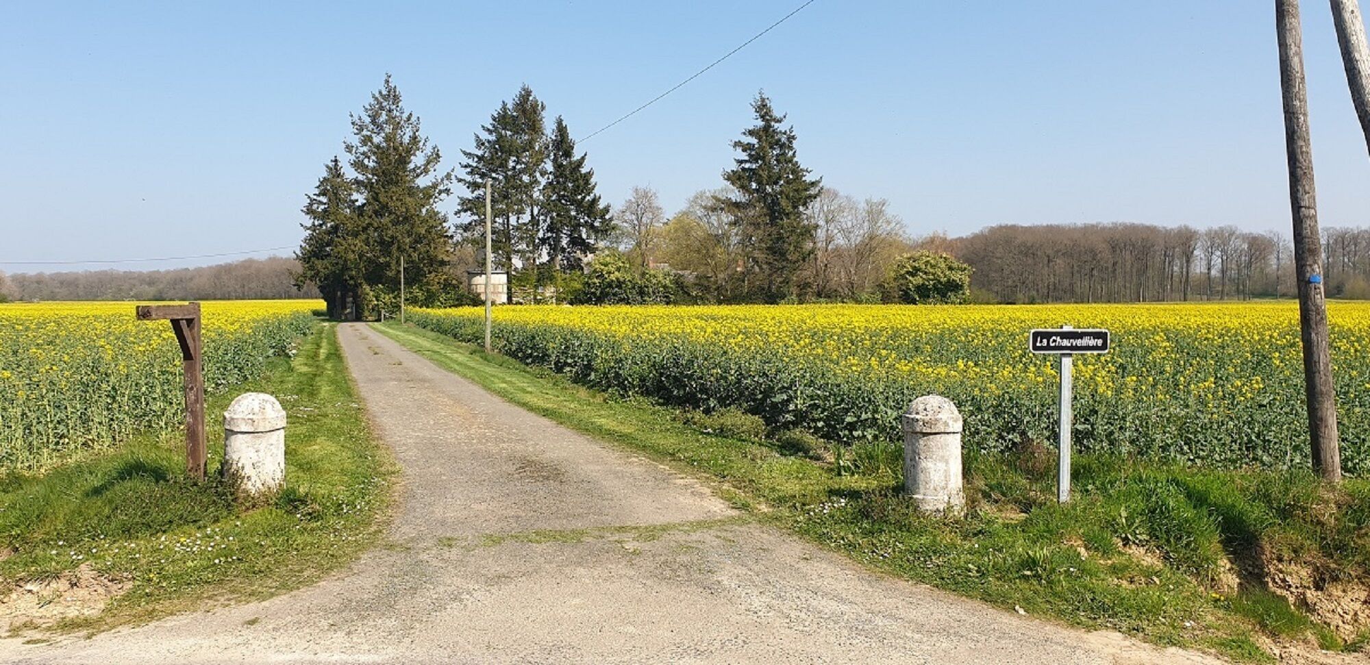Une route de campagne traverse un champ de fleurs jaunes, et un panneau indique « La Chaulotte ».
